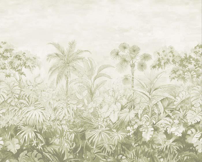 Paint & Paper Library Jangala Willow Wallpaper