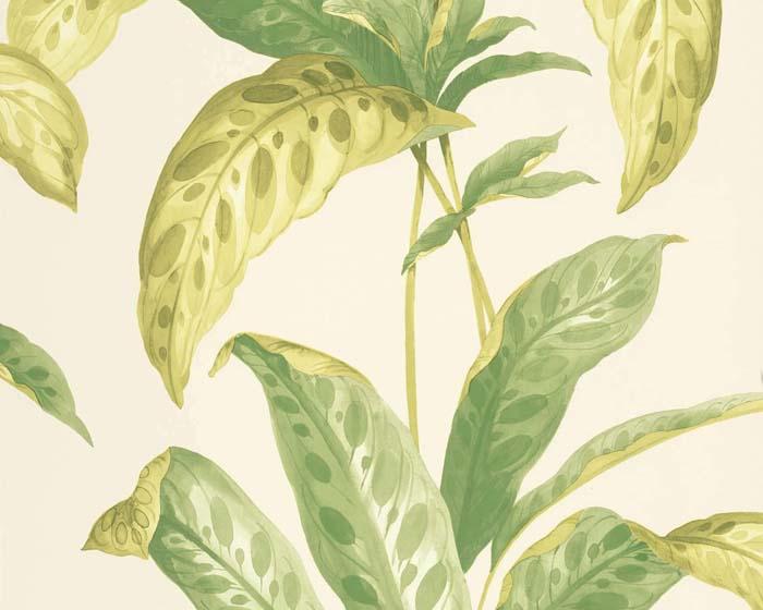 Paint & Paper Library Tropicane Chelsea Green II Wallpaper