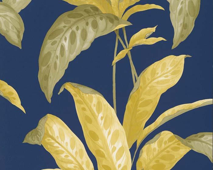 Paint & Paper Library Tropicane Plimsoll Wallpaper