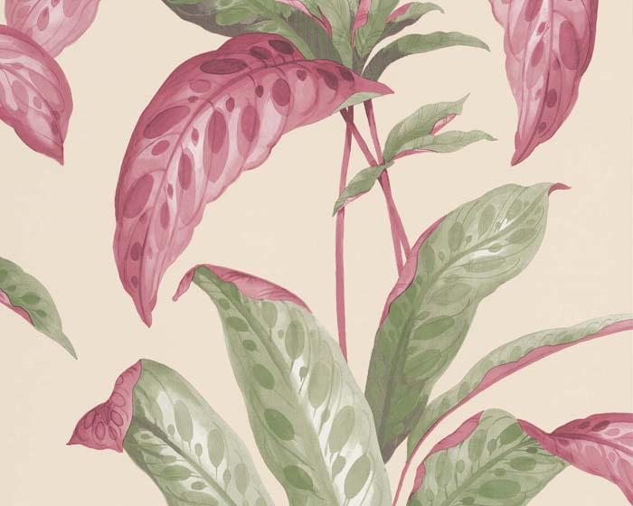 Paint & Paper Library Tropicane Rhubarb Wallpaper