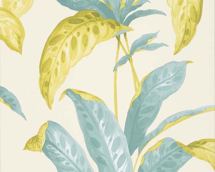 Paint & Paper Library Tropicane Scallion Wallpaper