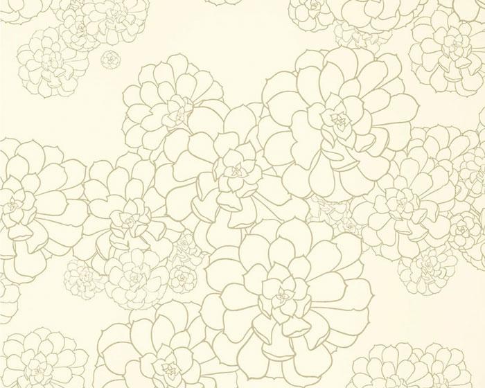 Paint & Paper Library Aeonium Wattle PPAEWA Wallpaper