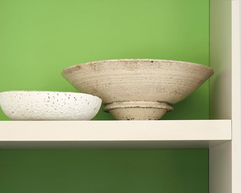 Little Greene Phthalo Green 199 Paint behind shelves