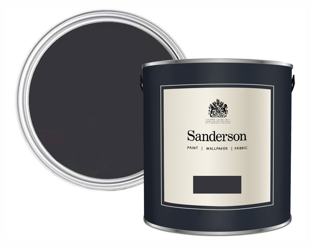 Sanderson Carbon Paint