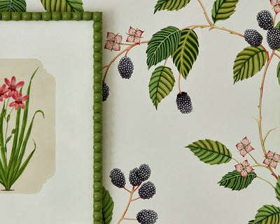 A close up of Sanderson Rubus Wallpaper