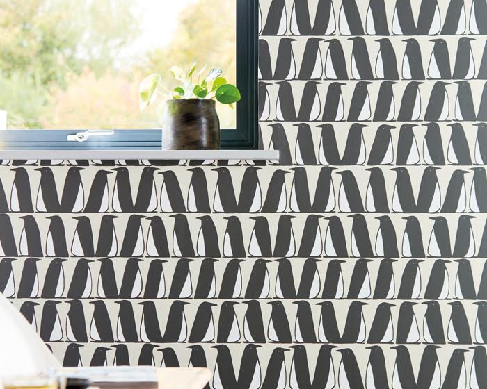 Scion Pedro Truffle 112224 Wallpaper