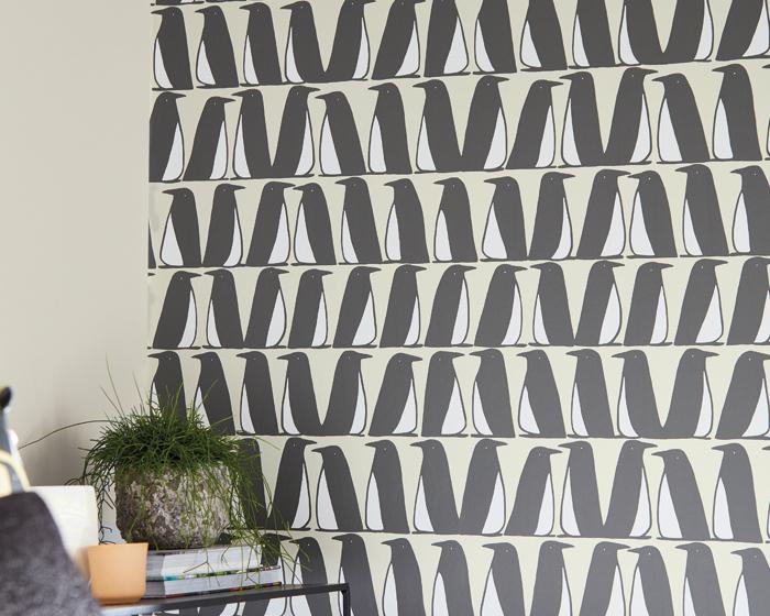 Scion Pedro Truffle 112224 Wallpaper