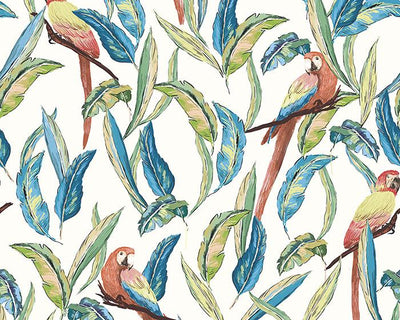 OHPOPSI Tropical Parrot Wilderness White Wallpaper WLD53116W