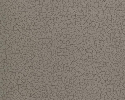 Zoffany Cracked Earth Gobi 312527 Wallpaper
