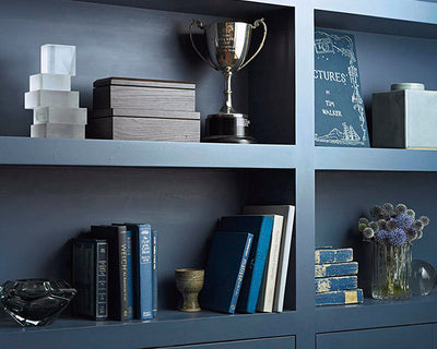 Zoffany Velvet Blue Paint on a bookcase