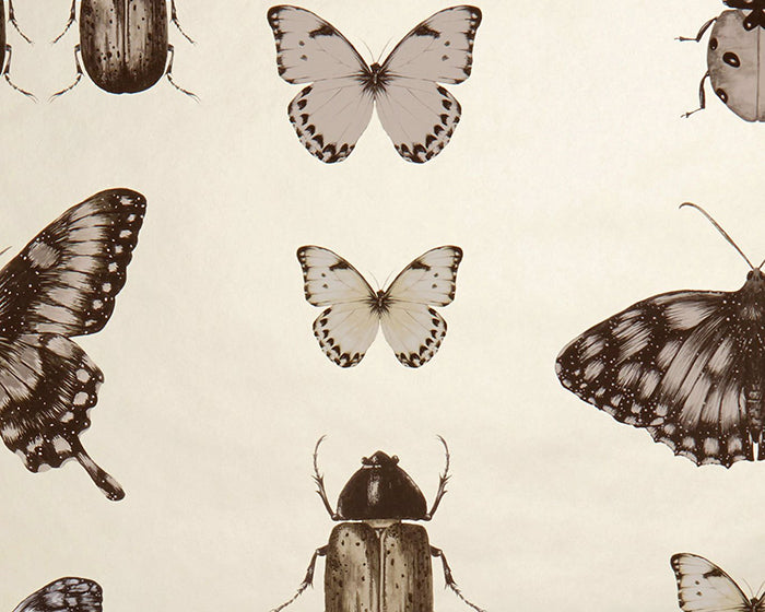 Clarke & Clarke Papilio Wallpaper