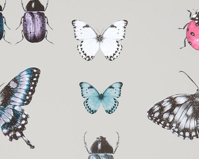 Clarke & Clarke Papilio Teal/Gilver Wallpaper W0094/04