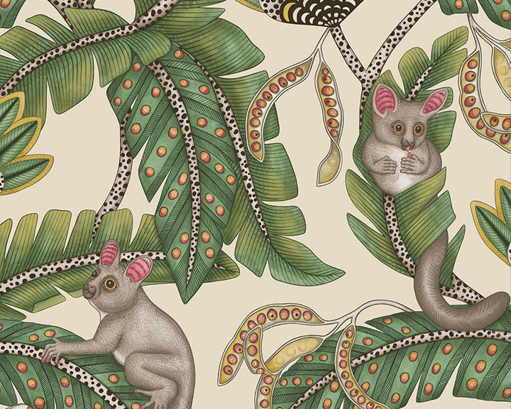 Cole & Son Bush Baby Wallpaper