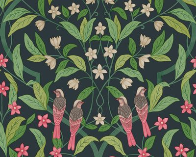 Cole & Son Jasmine and Serin Symphony 117/10028 Wallpaper