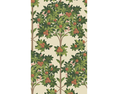 Cole & Son Orange Blossom 117/1001 Wallpaper