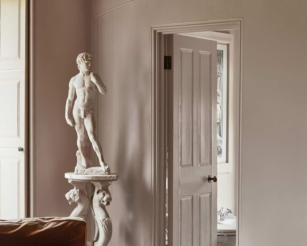 Fired Earth Morchella Paint in Room
