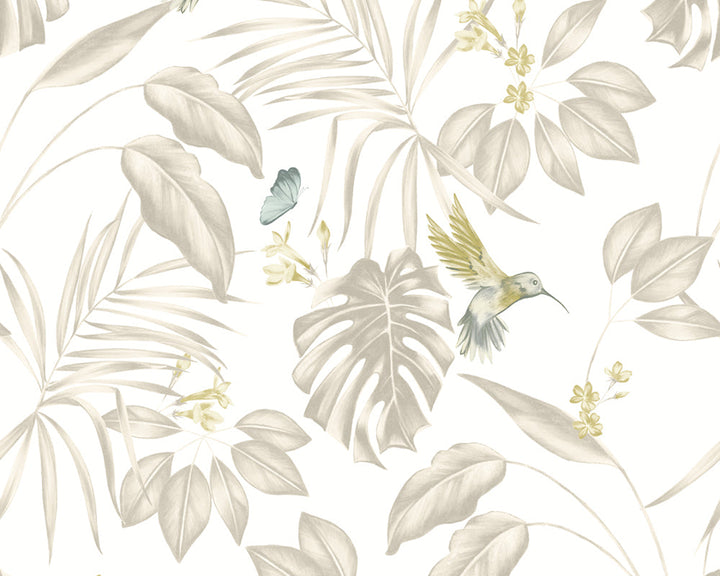 OHPOPSI Hummingbird Wallpaper