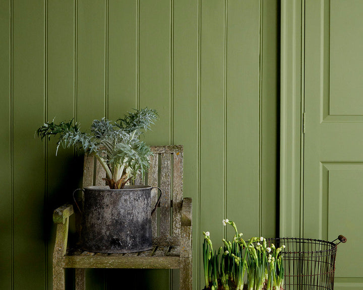 Sanderson Canopy Green Paint in Room