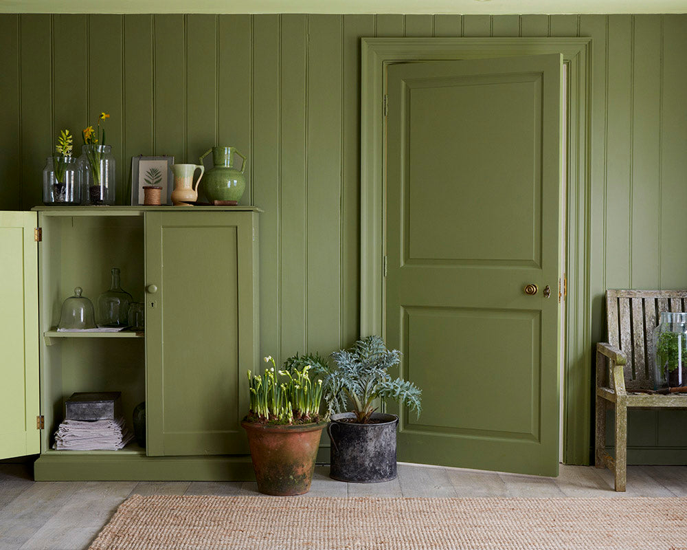 Sanderson Canopy Green Paint in Room
